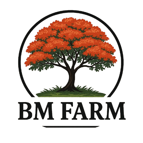 BM Farm